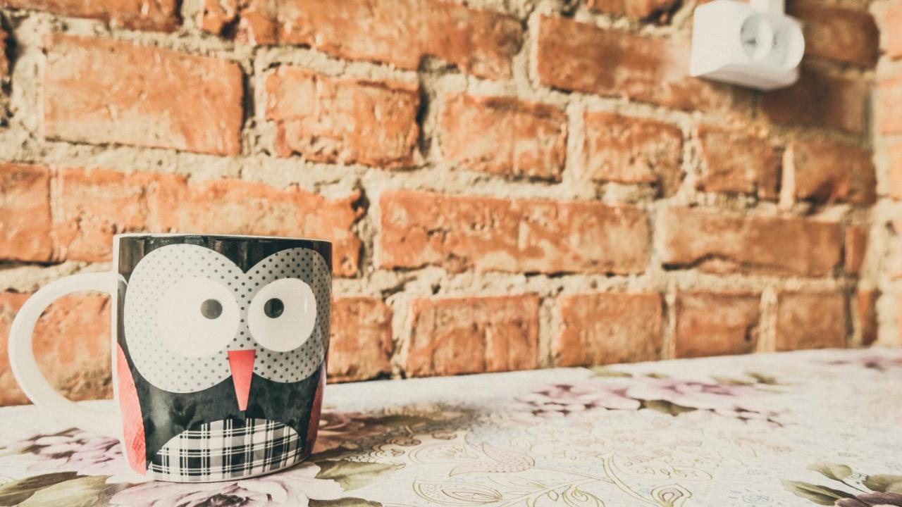 Chata Na Koncu Swiata Czaplin Maly Екстериор снимка